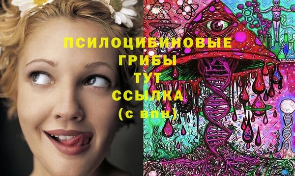 дурь Аркадак